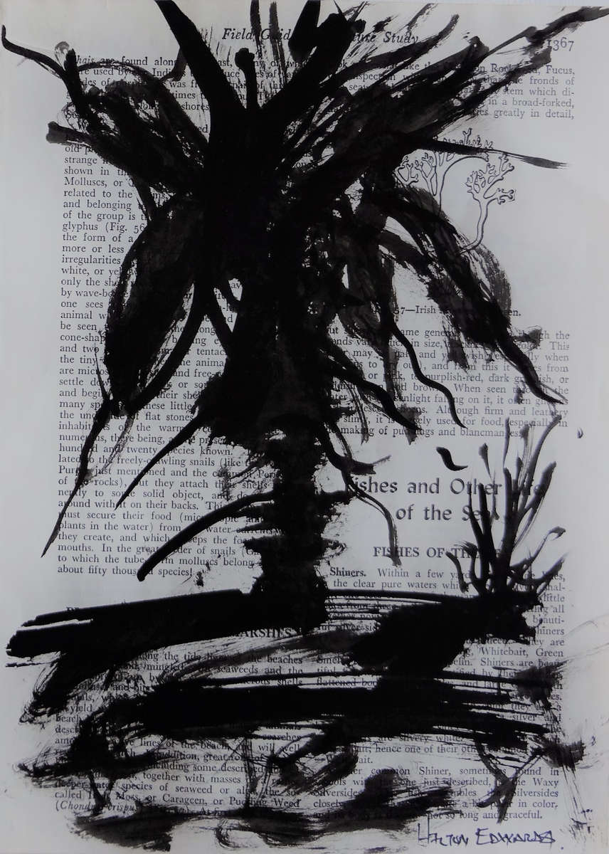 Hilton Edwards - aloe series