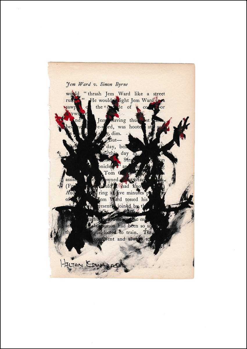 Hilton Edwards - aloe series