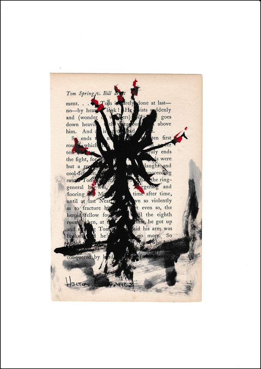 Hilton Edwards - aloe series