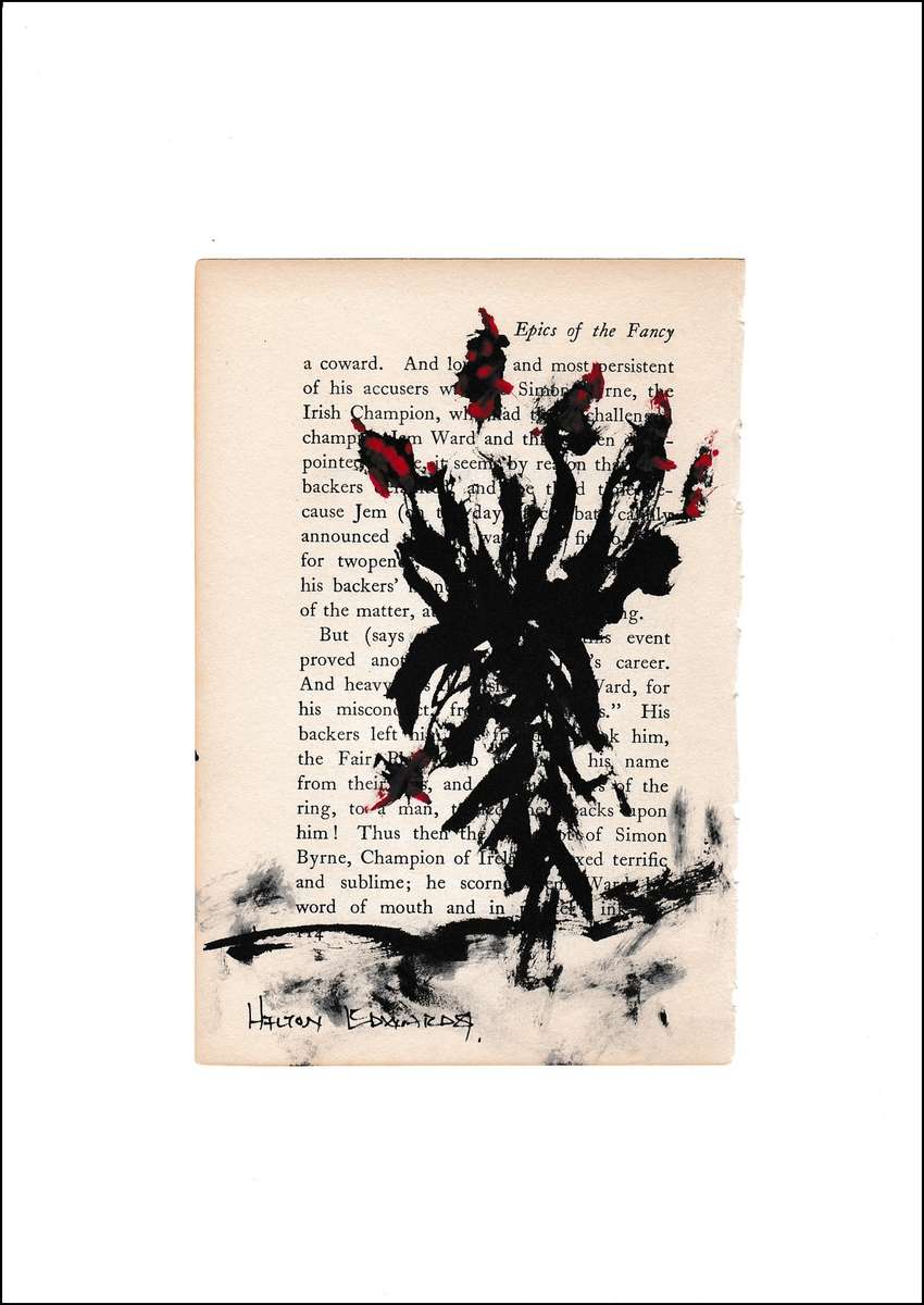 Hilton Edwards - aloe series