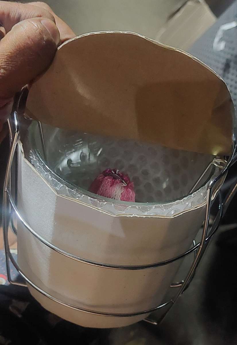 BRAND NEW CADAC LAMP WITH START BUTTON AND PACK OF MANTLE READ DESCRIPTION