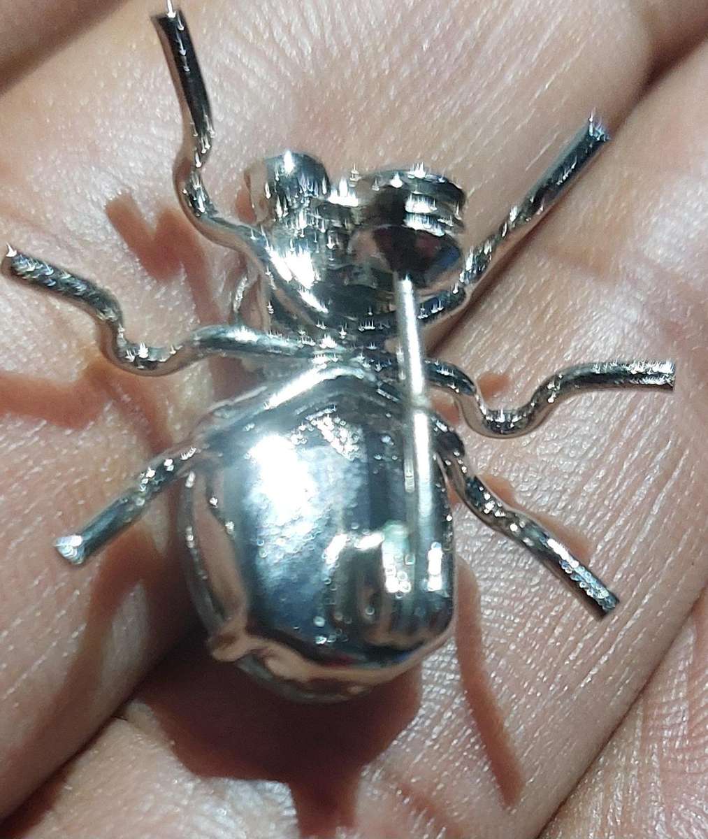Vintage insect brooch never used
