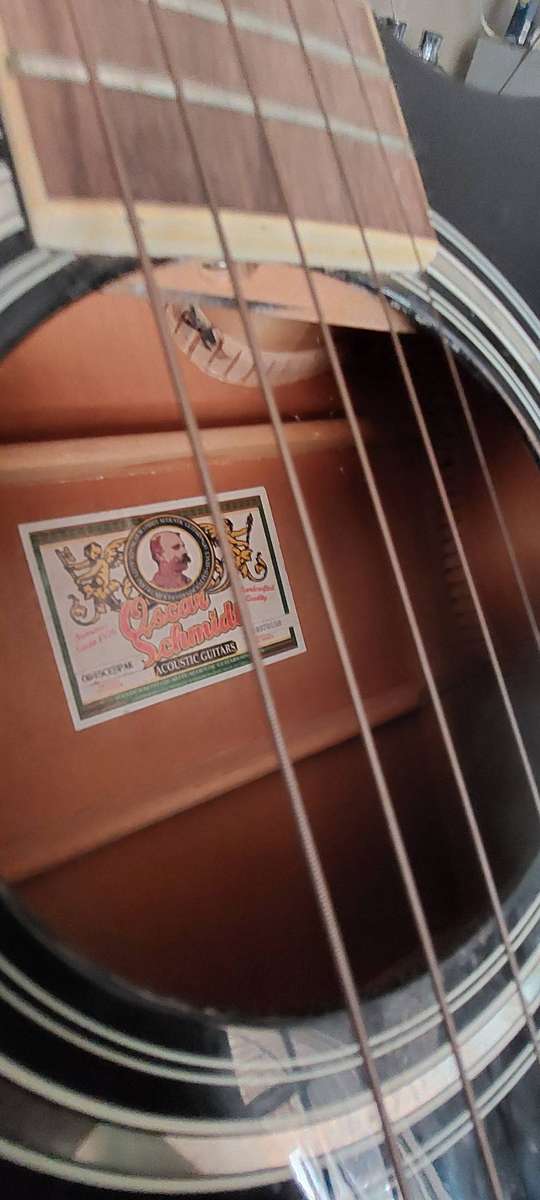 Oscar Schmidt Acoustic/Electric Guitar missing 1 string incl carry bag