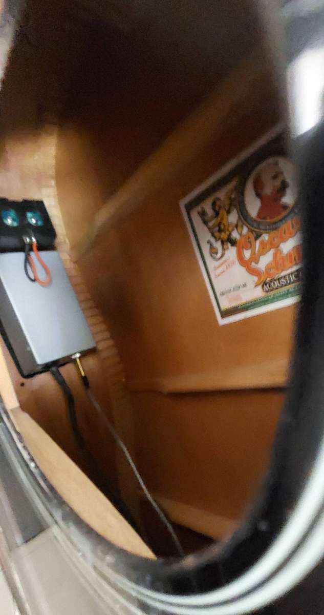 Oscar Schmidt Acoustic/Electric Guitar missing 1 string incl carry bag