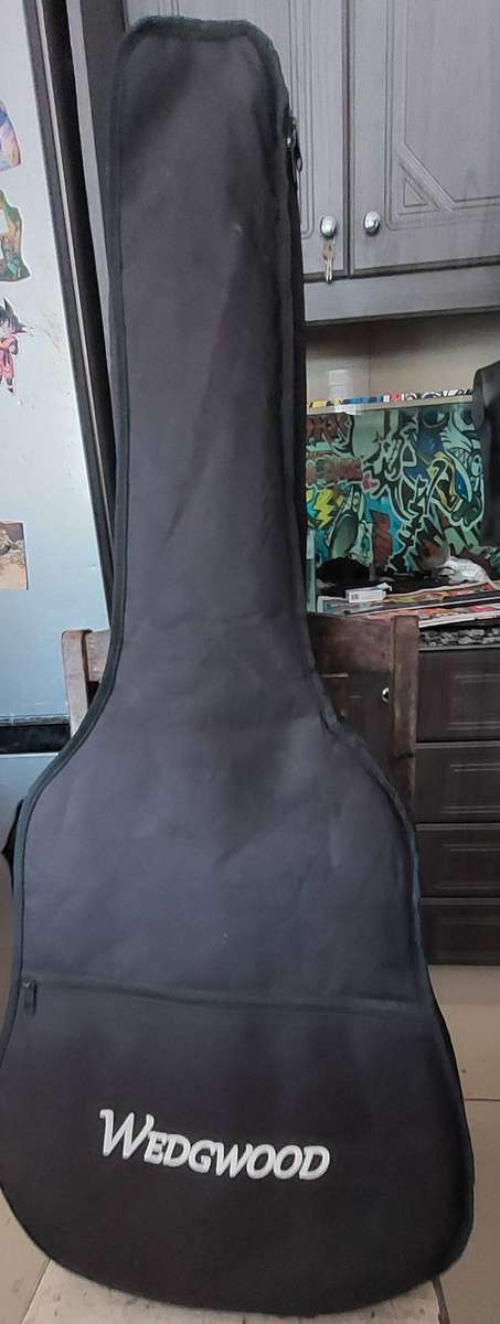 Oscar Schmidt Acoustic/Electric Guitar missing 1 string incl carry bag