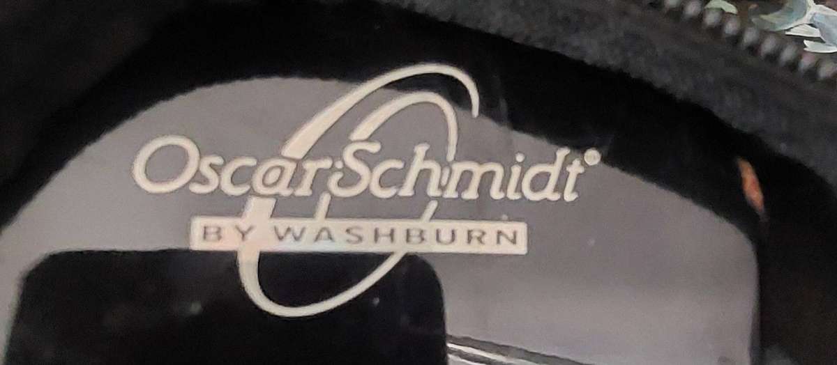 Oscar Schmidt Acoustic/Electric Guitar missing 1 string incl carry bag