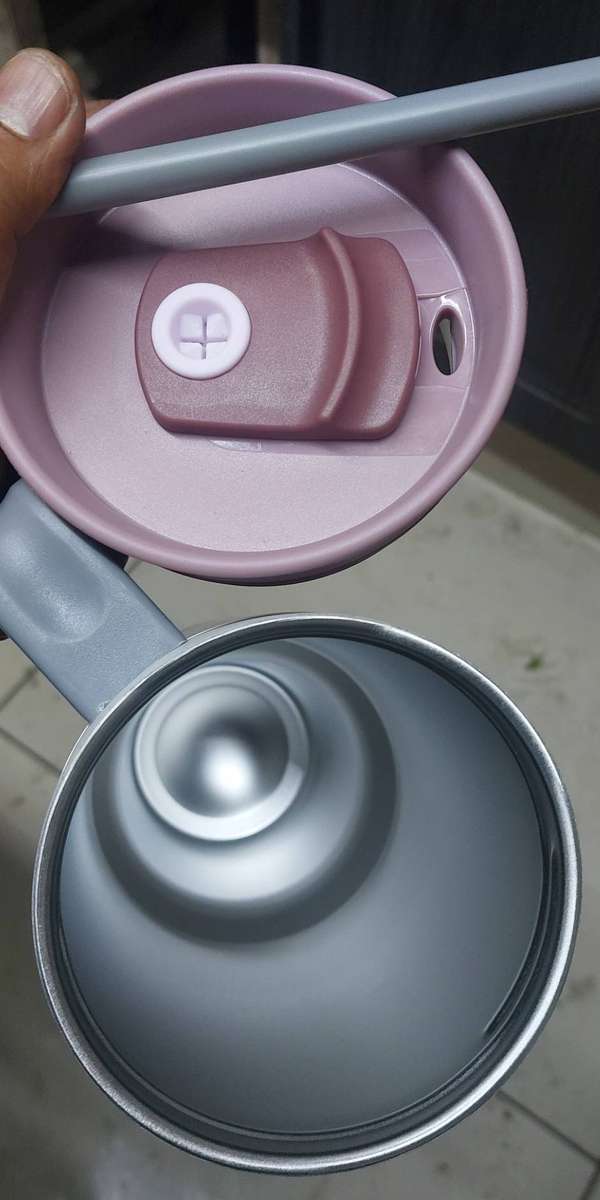 Double wall stainless steel Stanley inspired mugs