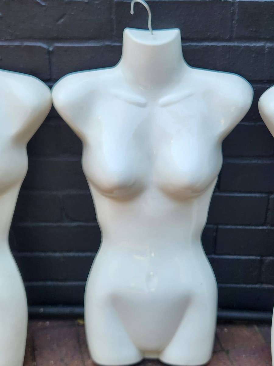 Fashion display torsos ( 5 )