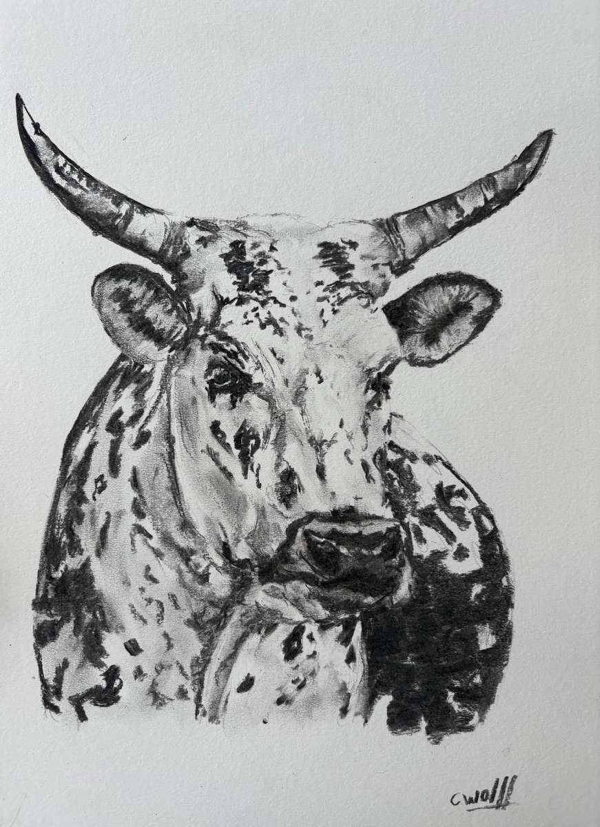 Nguni