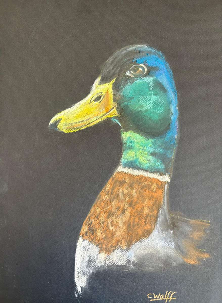 Pastel duck