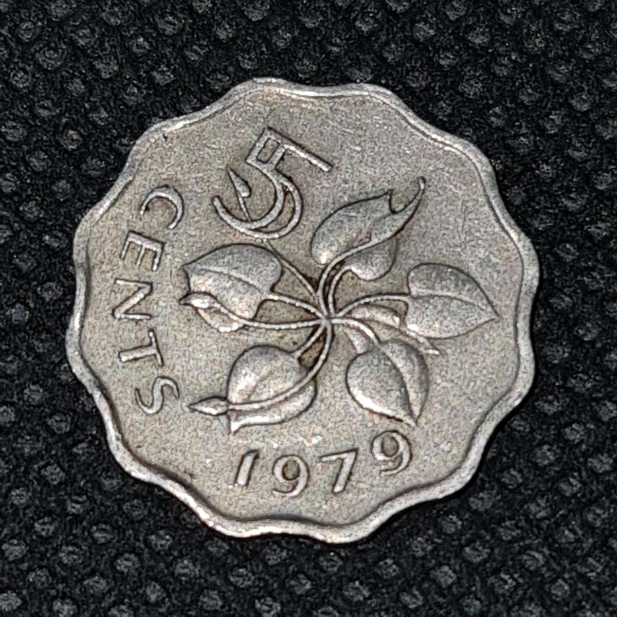 1979 SWAZILAND  5 CENT