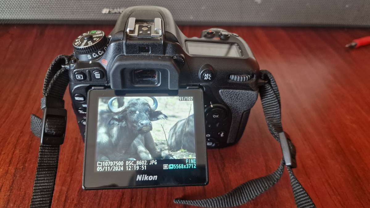 Nikon D7500 DSLR body only