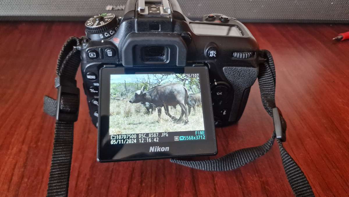 Nikon D7500 DSLR body only