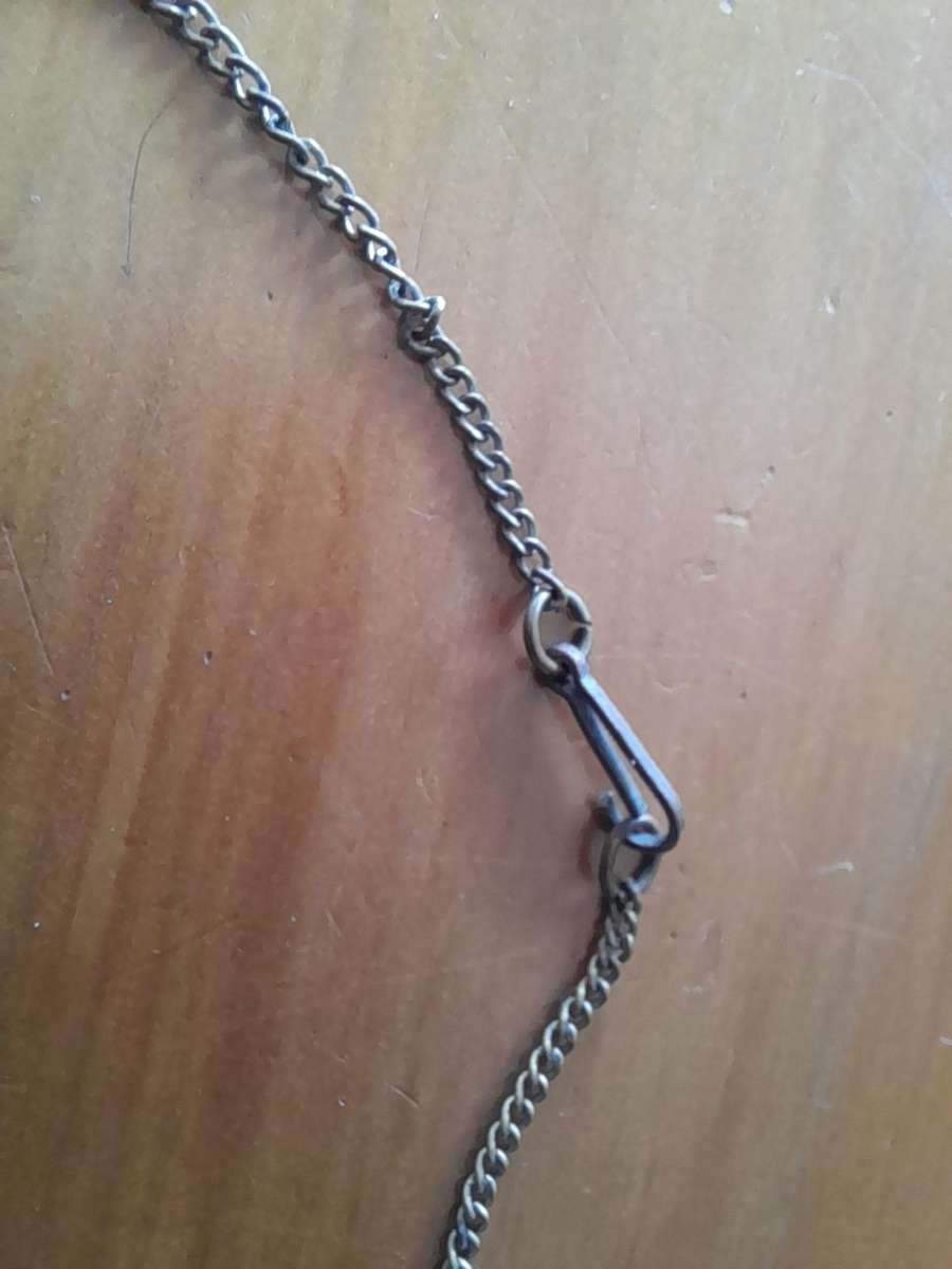 Vintage Coiled Cameo Lavelier Necklace