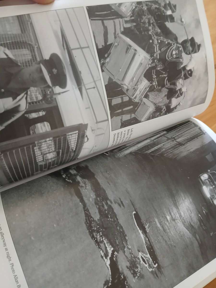 Delta Scout. Anthony Trethowan