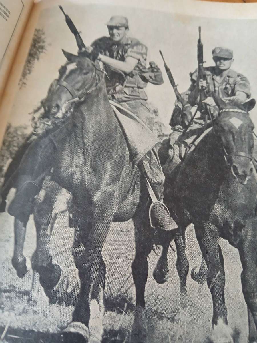 FIGHTING FORCES OF RHODESIA 3 copies