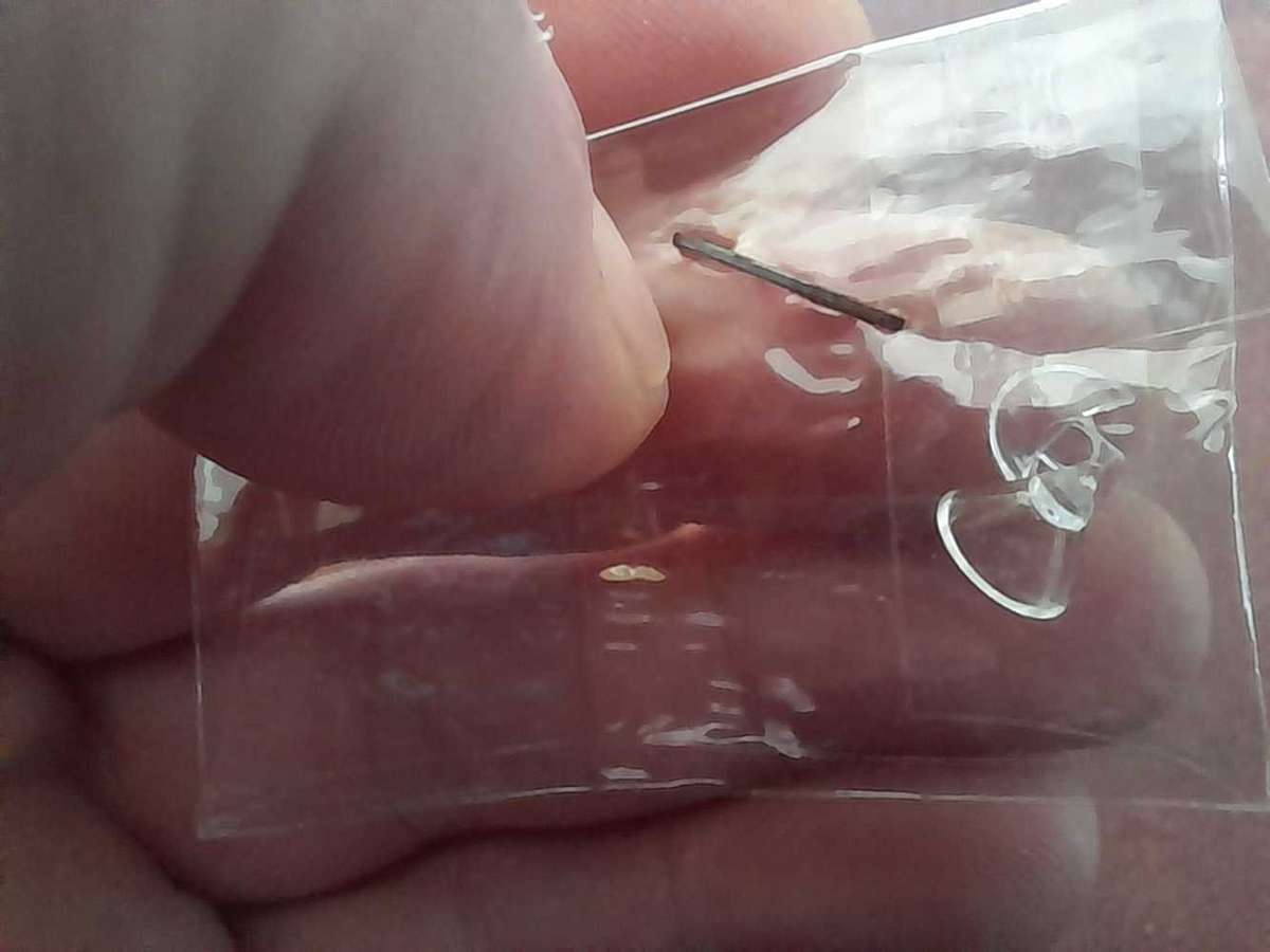 Rare AVIA BH 11 1/50 scale