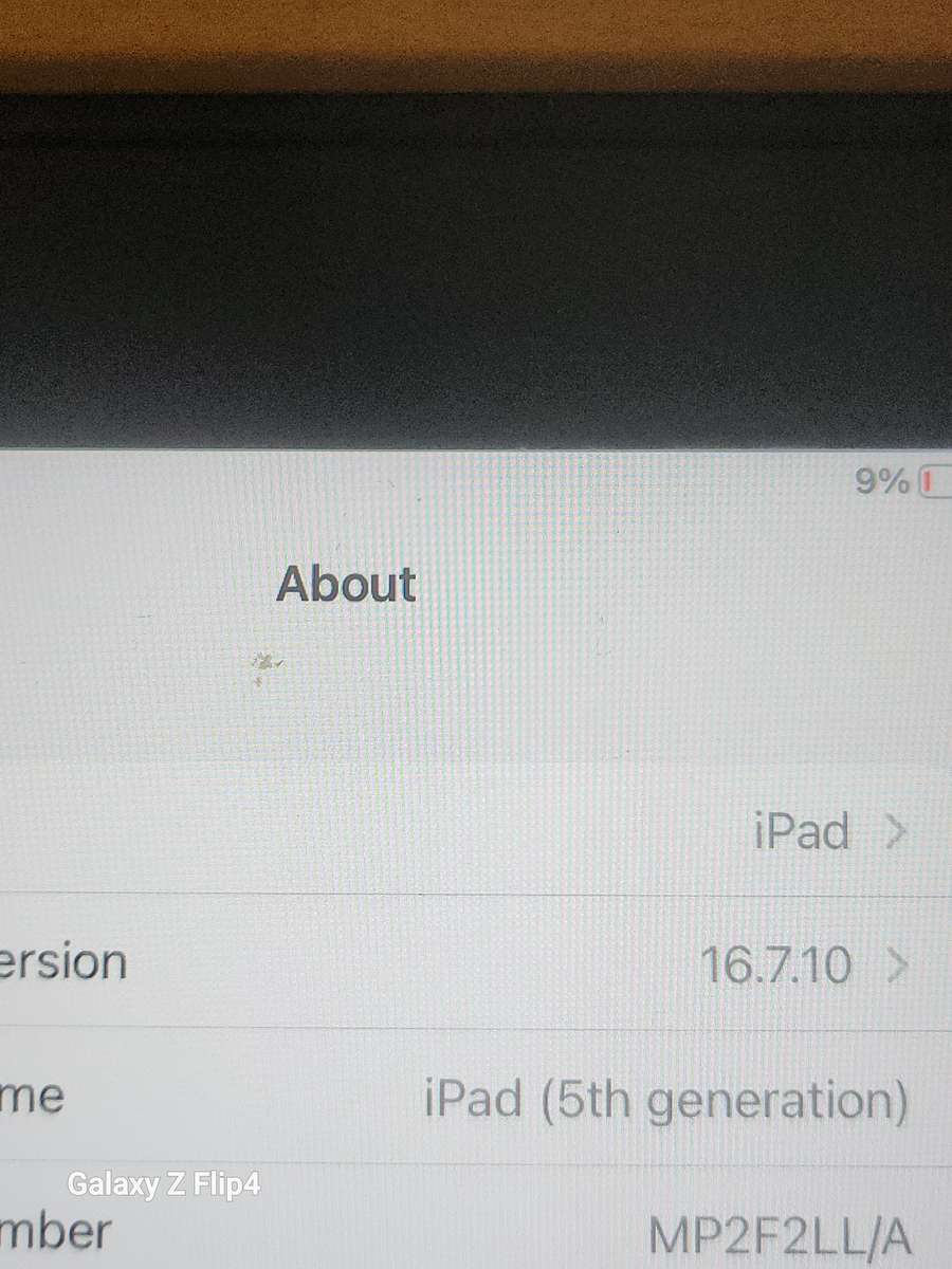 iPad (5th generation) -