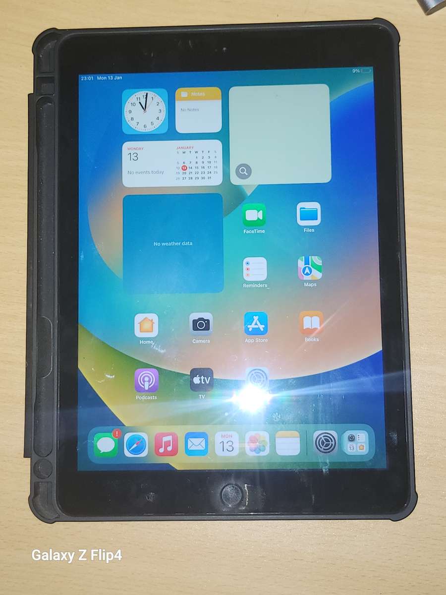 iPad (5th generation) -