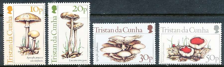 TRISTAN da CUNHA  - 1984     Fungi  SET  -  FINE  MINT