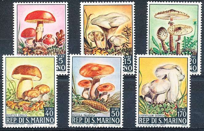 SAN MARINO  1967  -  Mushrooms   FULL SET     - FINE  MINT