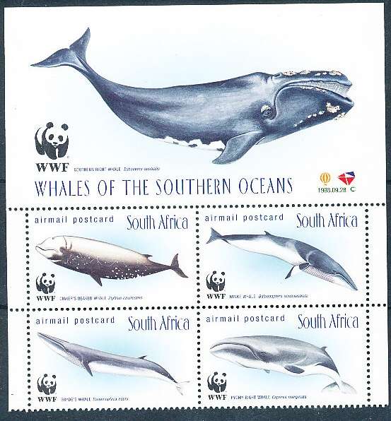 RSA -  1998  -  Whales of the Southern Ocean   SET - FINE  MINT