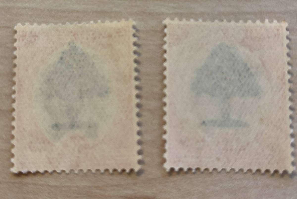 South Africa 1933 6d - Falling Ladder / Extra Leaves - Very unique High CV