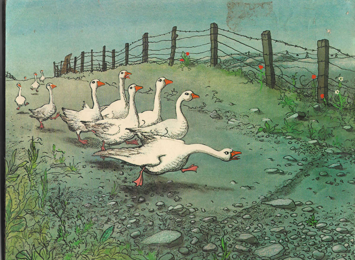 Giles cartoons - 25th Series