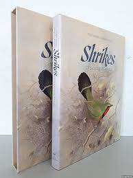 SHRIKES OF SOUTHERN AFRICA