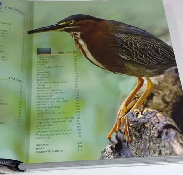 Bird Definitive Visual Guide