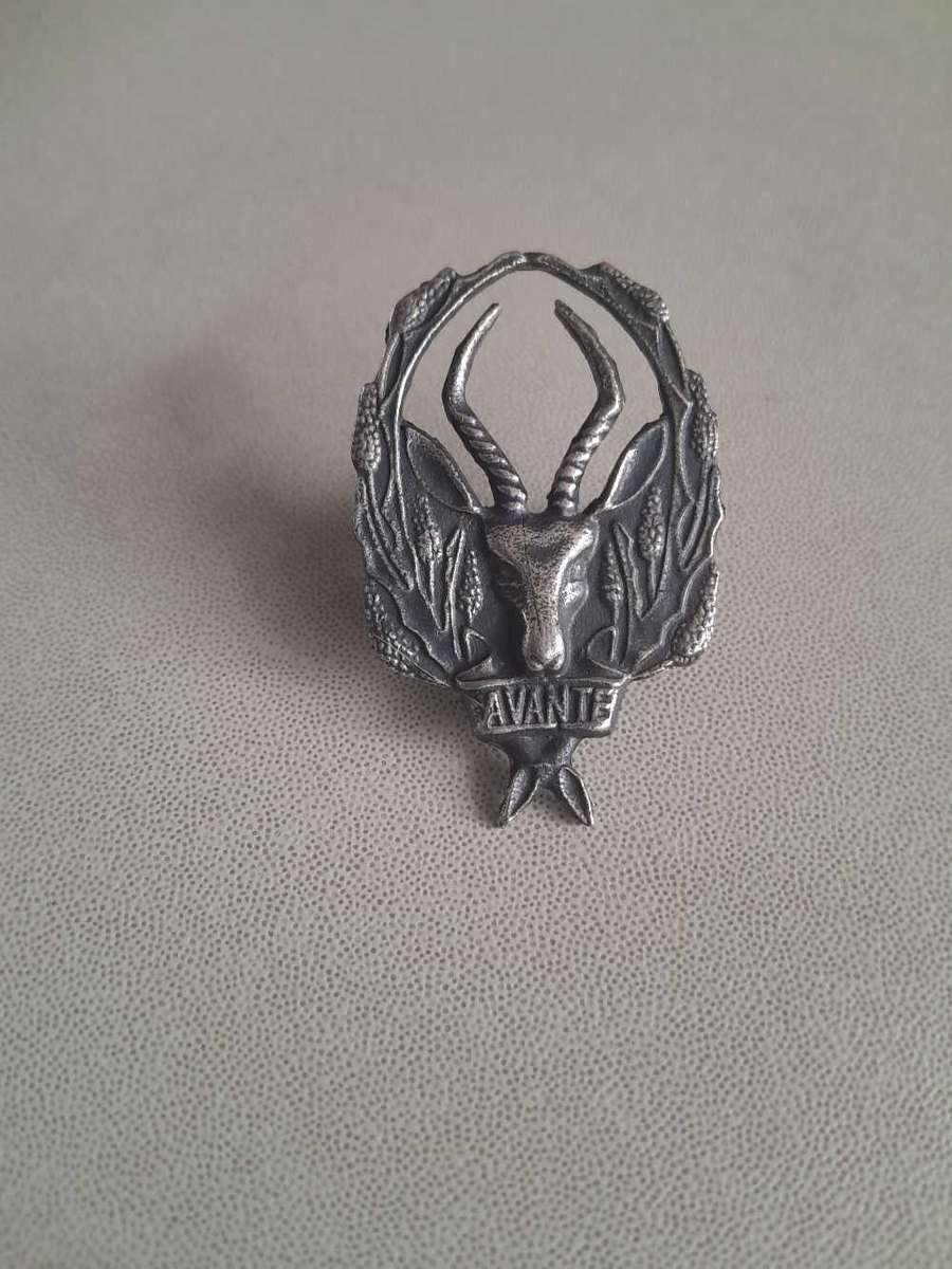 5 SAI BERET BADGE