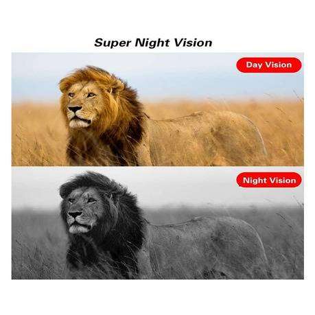 Digital Wildlife Trail Camera Q-DL101