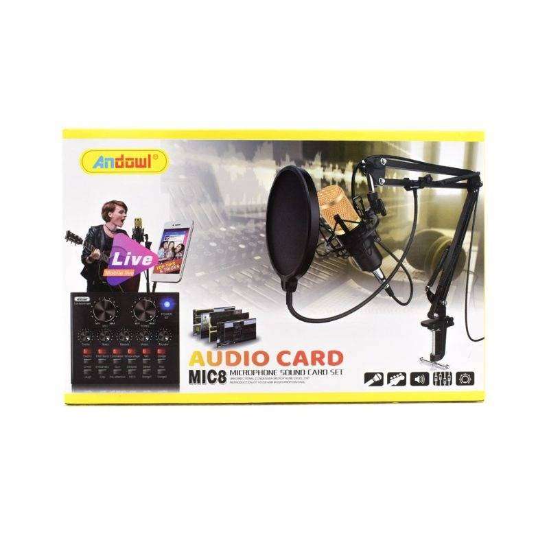 Professional Studio Recording Microphone Kit With V8 Sound Card-MIC8