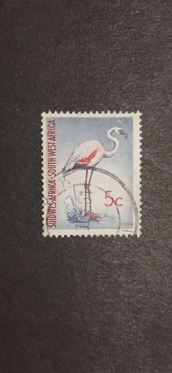 S.W.A 1961 LOCAL MOTIVES