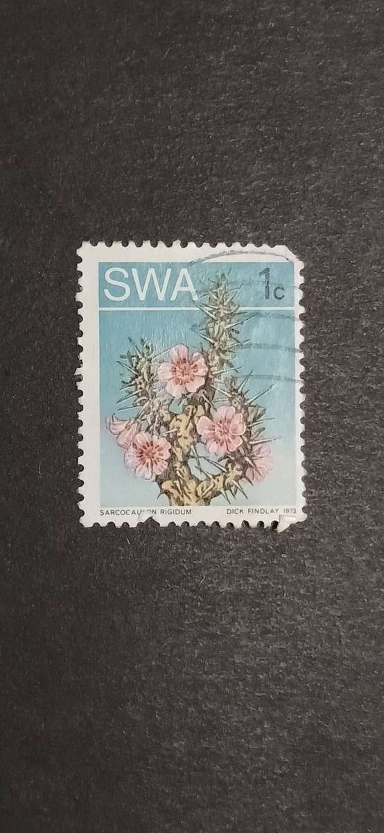 S.W.A 1973 DESERT PLANTS
