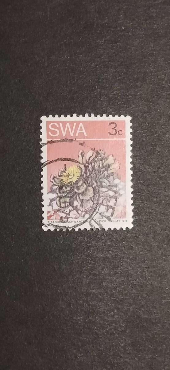 S.W.A 1973 DESERT PLANTS
