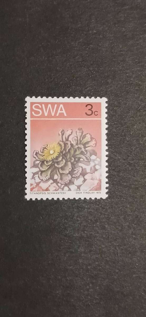 S.W.A 1973 DESERT PLANTS