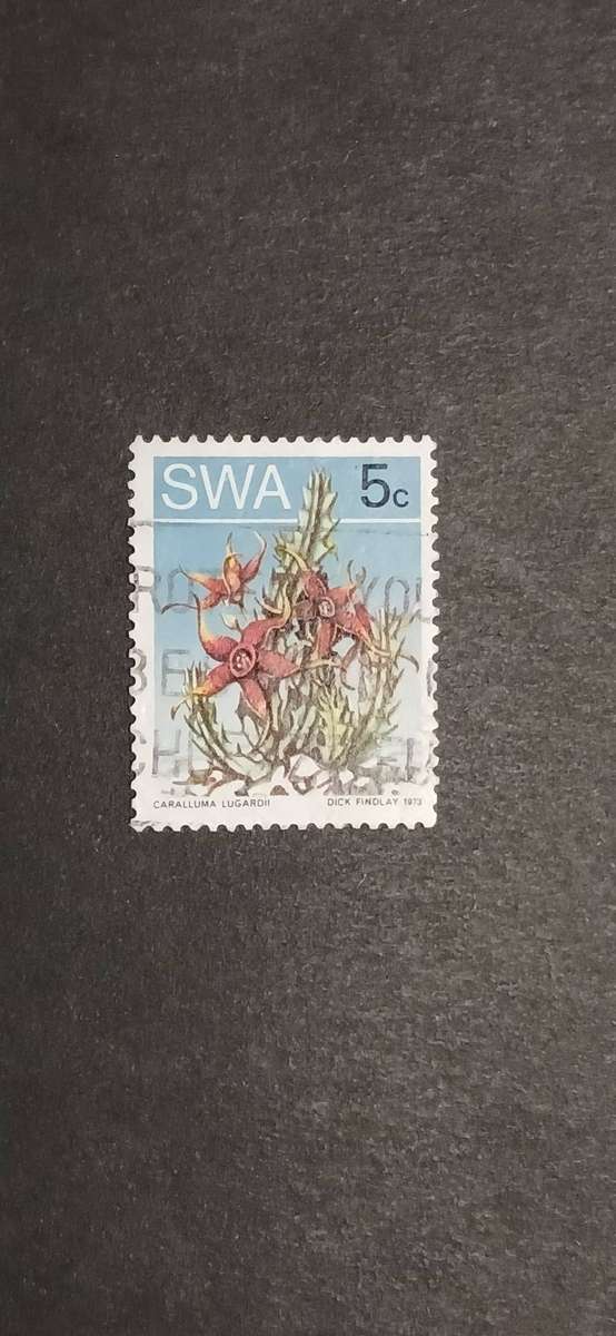 S.W.A 1973 DESERT PLANTS
