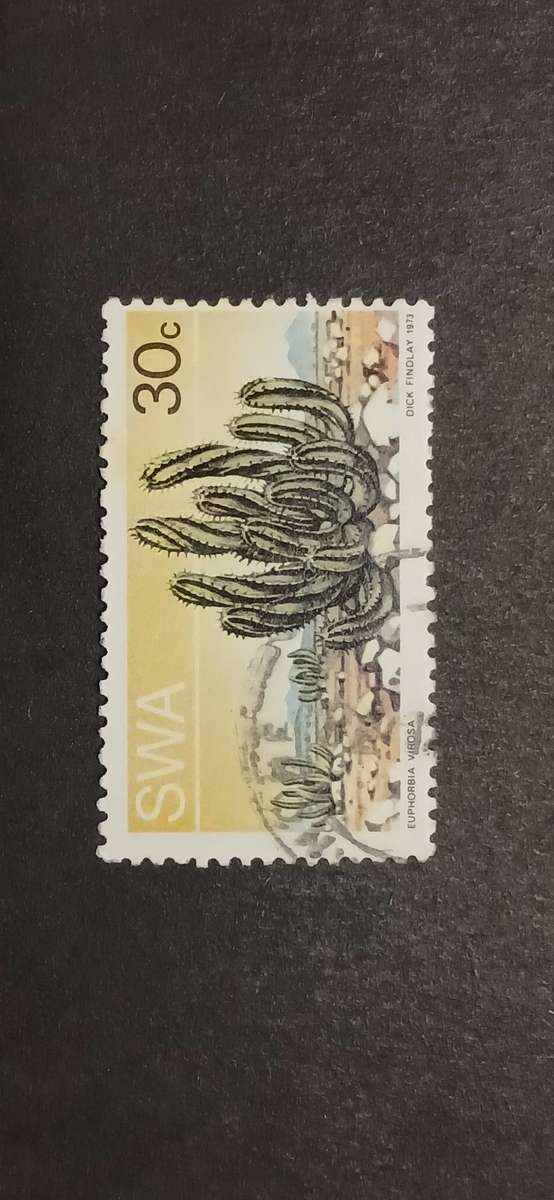 S.W.A 1973 DESERT PLANTS