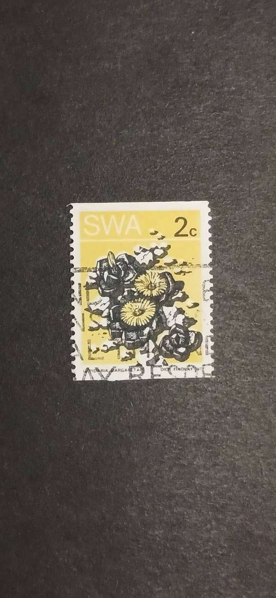 S.W.A 1973 DESERT PLANTS