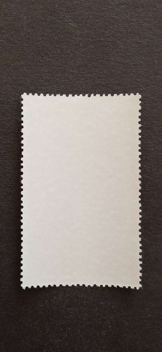 S.W.A 1979 WATER BIRDS