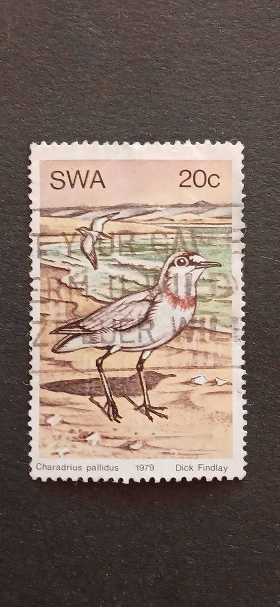 S.W.A 1979 WATER BIRDS