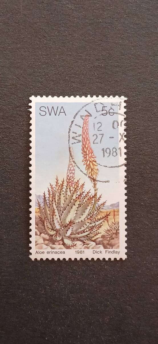 S.W.A 1981 ALOES