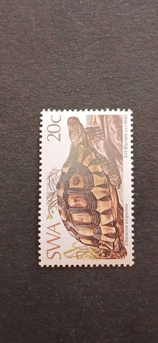 S.W.A 1982 TORTOISES