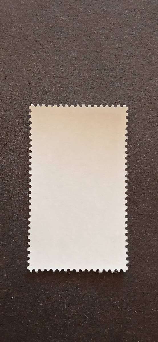 S.W.A 1982 TORTOISES