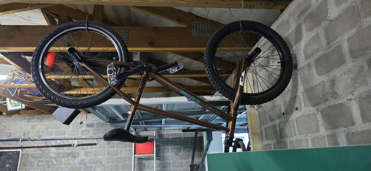 Mongoose L100 bmx