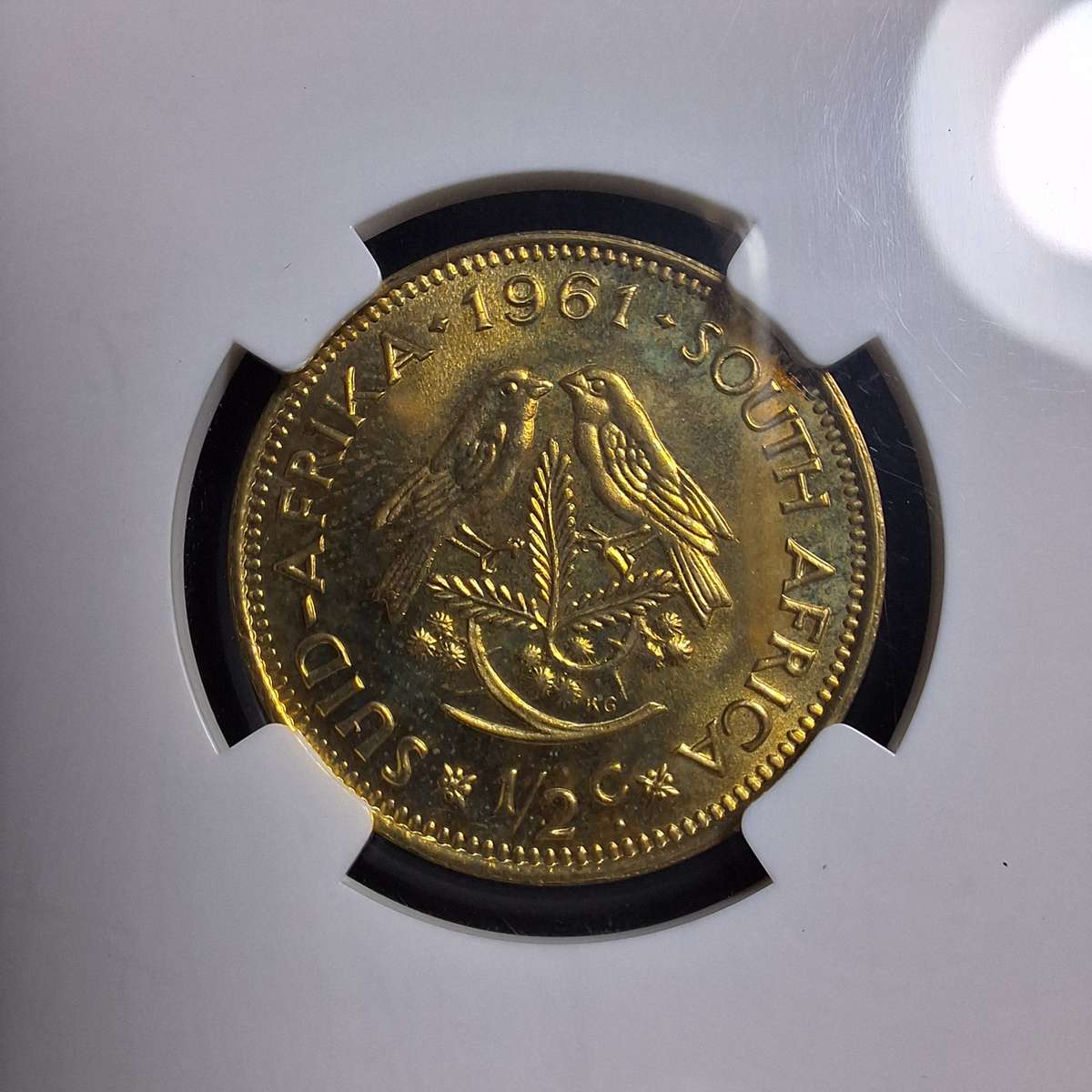 1961 Proof 66 SA 1/2 Cent NGC Graded