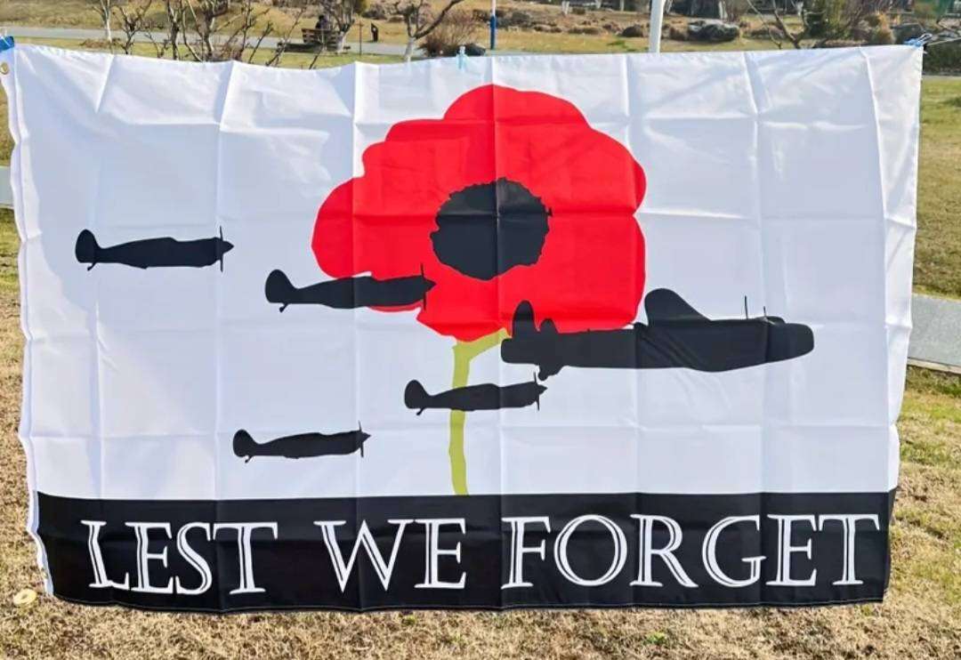 Poppy day flag with airplains