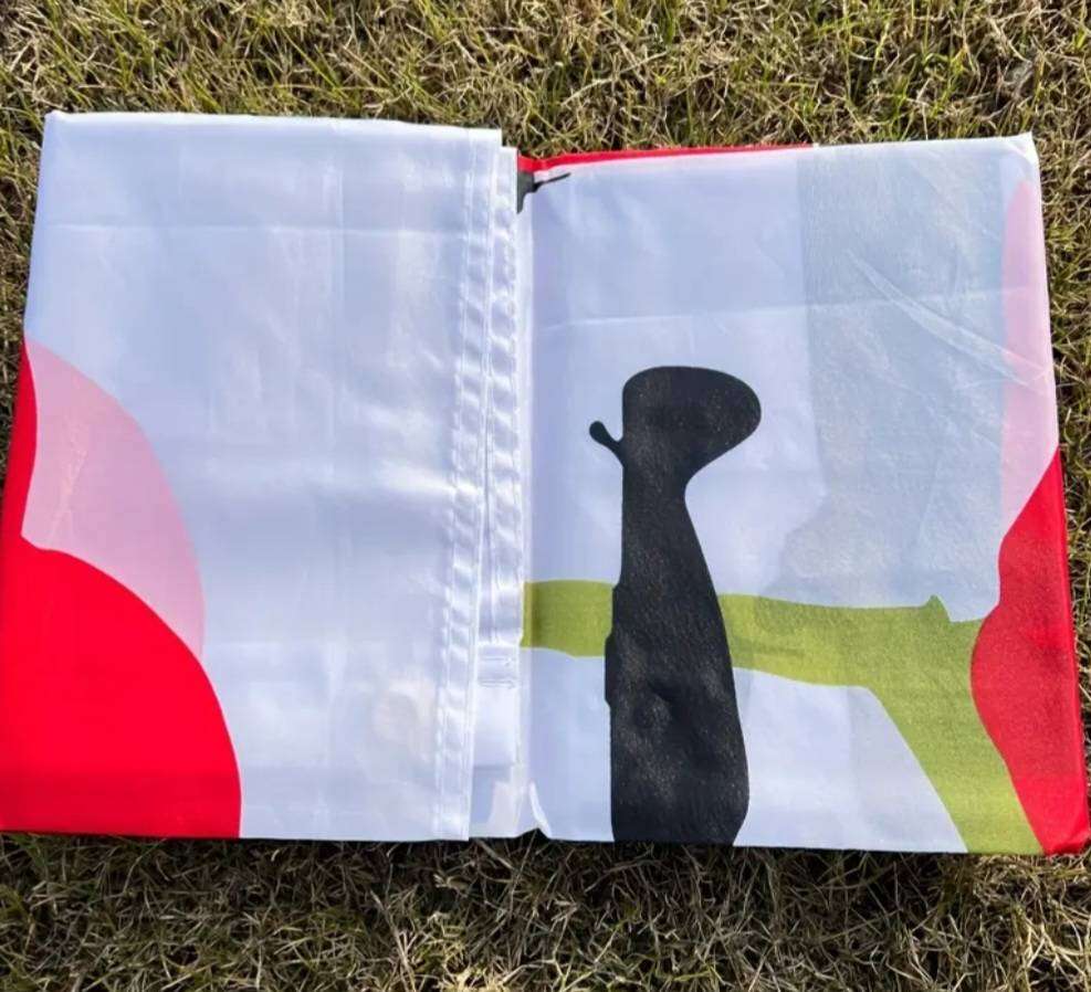 Poppy day flag with airplains