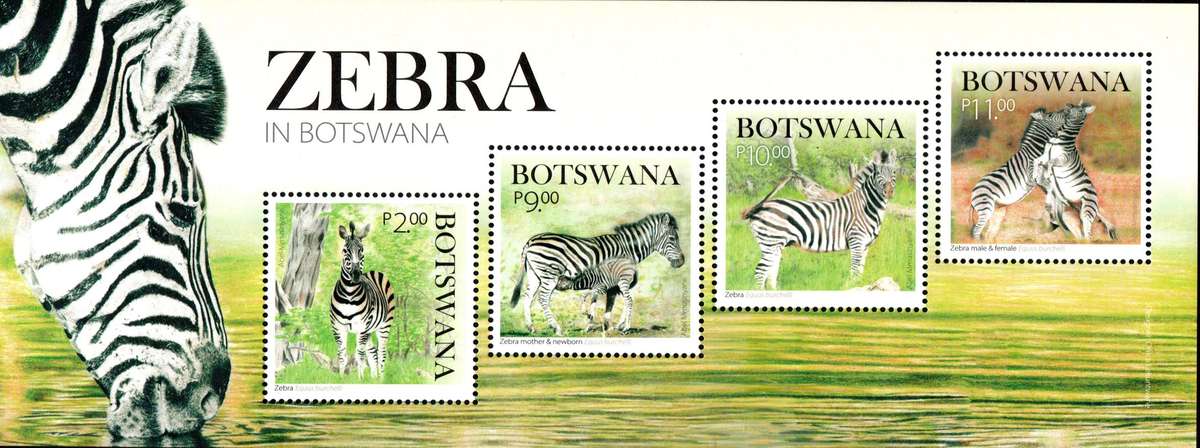 Botswana - 2024 Zebra MS MNH